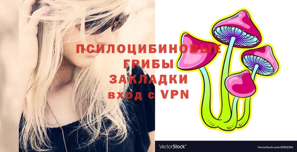 дмт Алексеевка