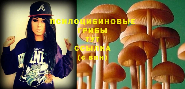 ПСИЛОЦИБИНОВЫЕ ГРИБЫ Алексин