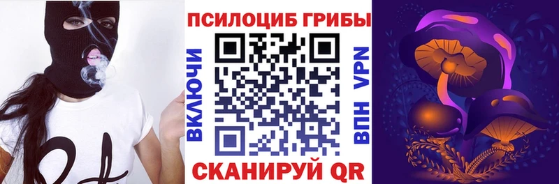 Галлюциногенные грибы MAGIC MUSHROOMS  где можно купить наркотик  Тырныауз 
